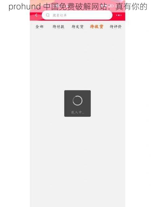prohund 中国免费破解网站：真有你的