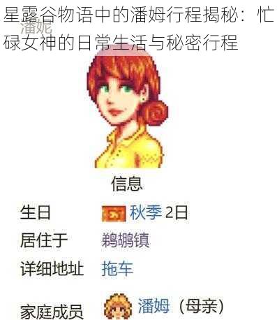 星露谷物语中的潘姆行程揭秘：忙碌女神的日常生活与秘密行程