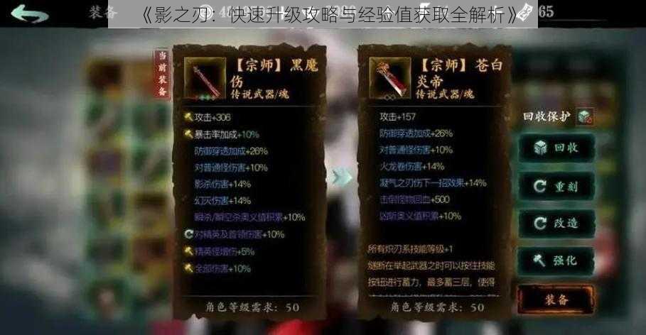 《影之刃：快速升级攻略与经验值获取全解析》