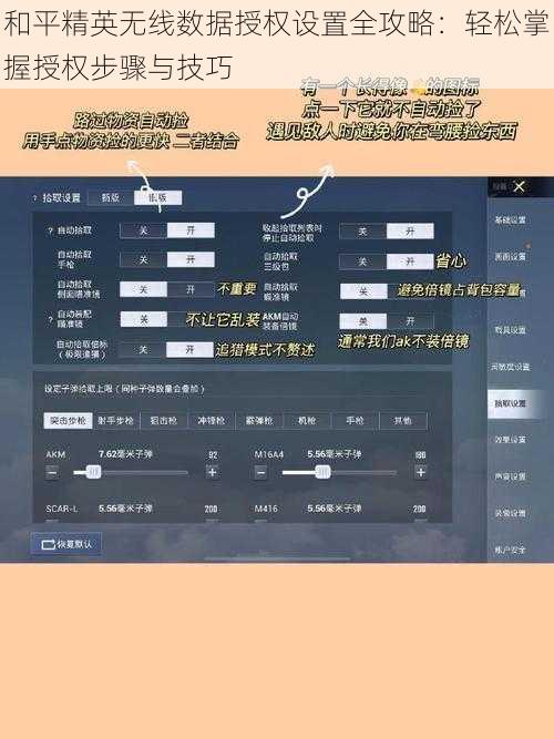 和平精英无线数据授权设置全攻略：轻松掌握授权步骤与技巧