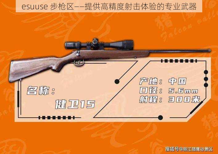 esuuse 步枪区——提供高精度射击体验的专业武器