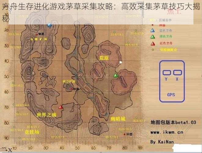 方舟生存进化游戏茅草采集攻略：高效采集茅草技巧大揭秘