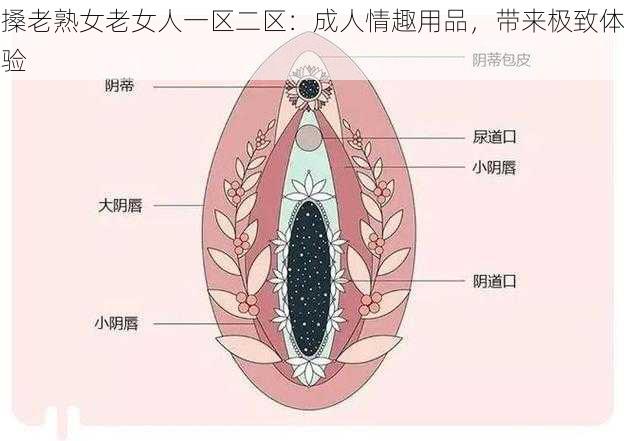 搡老熟女老女人一区二区：成人情趣用品，带来极致体验