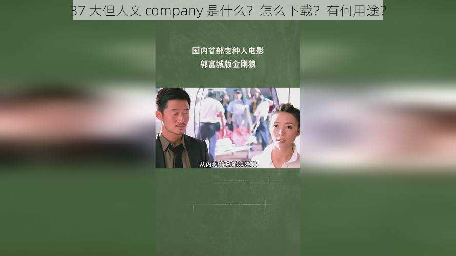 37 大但人文 company 是什么？怎么下载？有何用途？