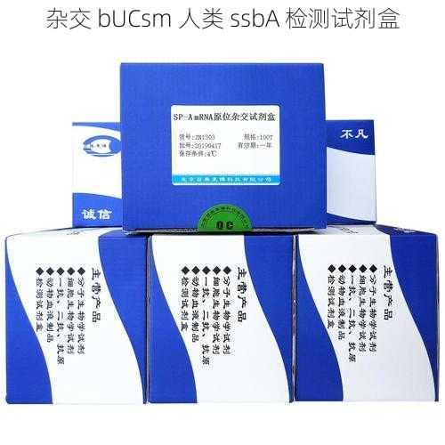 杂交 bUCsm 人类 ssbA 检测试剂盒