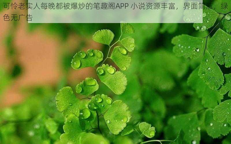 可怜老实人每晚都被爆炒的笔趣阁APP 小说资源丰富，界面简洁，绿色无广告