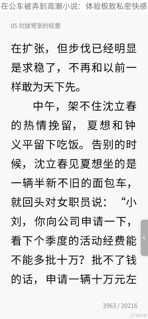 在公车被弄到高潮小说：体验极致私密快感