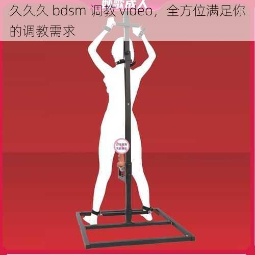 久久久 bdsm 调教 video，全方位满足你的调教需求