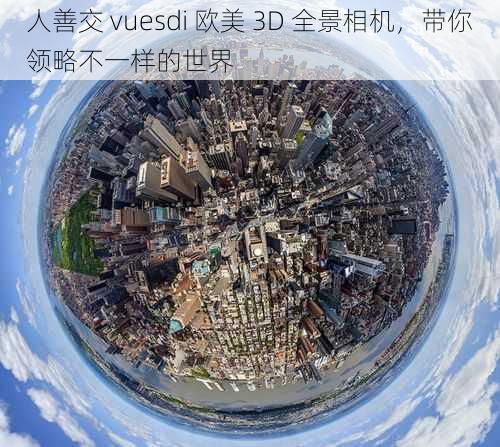 人善交 vuesdi 欧美 3D 全景相机，带你领略不一样的世界