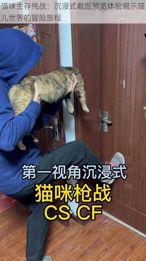 猫咪生存挑战：沉浸式截图预览体验揭示猫儿世界的冒险旅程