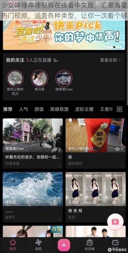 少女哔哩哔哩视频在线看中文版，汇聚海量热门视频，涵盖各种类型，让你一次看个够