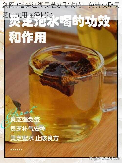 剑网3指尖江湖灵芝获取攻略：免费获取灵芝的实用途径揭秘