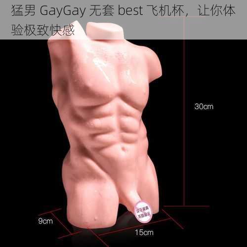 猛男 GayGay 无套 best 飞机杯，让你体验极致快感