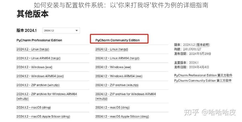 如何安装与配置软件系统：以'你来打我呀'软件为例的详细指南