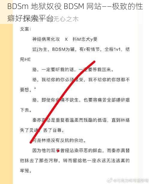 BDSm 地狱奴役 BDSM 网站——极致的性癖好探索平台