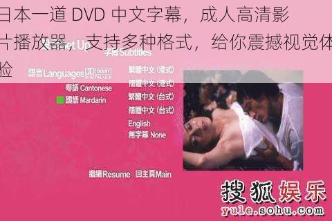 日本一道 DVD 中文字幕，成人高清影片播放器，支持多种格式，给你震撼视觉体验