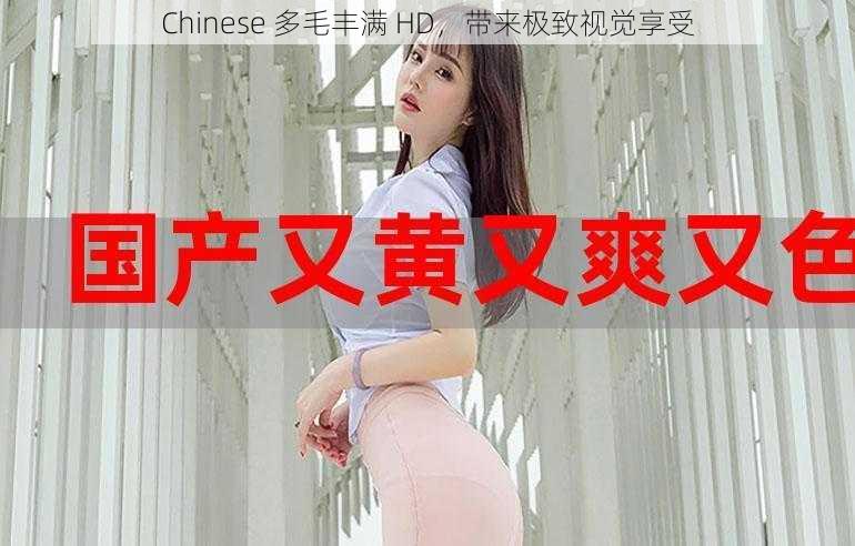 Chinese 多毛丰满 HD，带来极致视觉享受