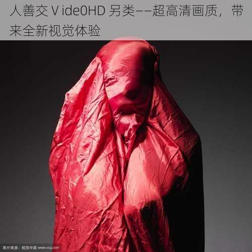 人善交Ⅴide0HD 另类——超高清画质，带来全新视觉体验