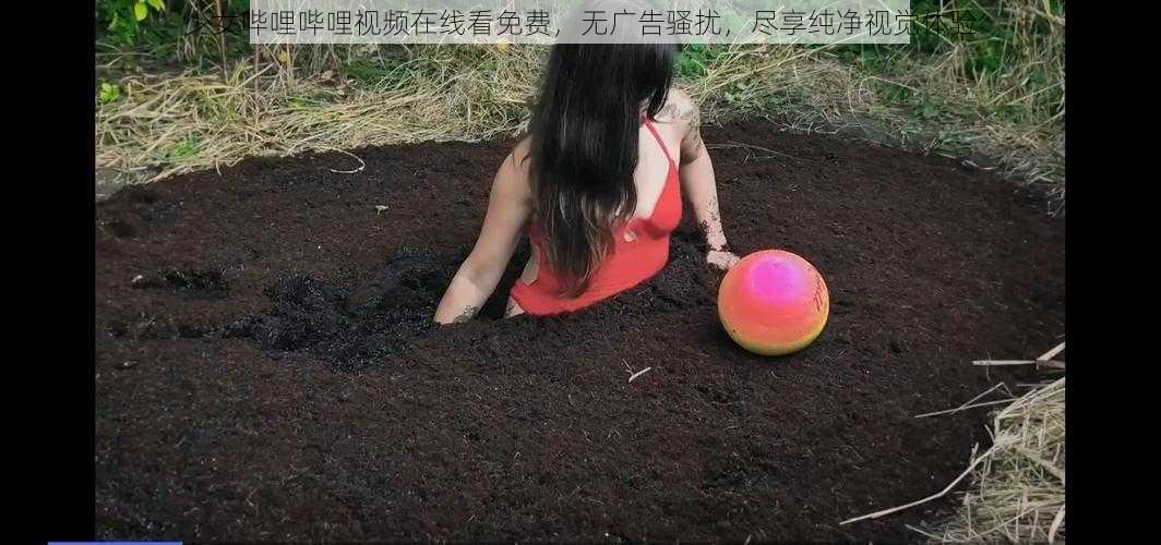 少女哔哩哔哩视频在线看免费，无广告骚扰，尽享纯净视觉体验