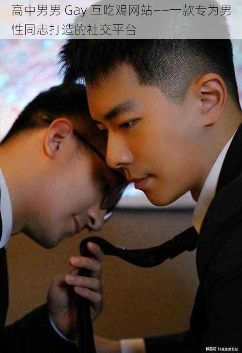 高中男男 Gay 互吃鳮网站——一款专为男性同志打造的社交平台