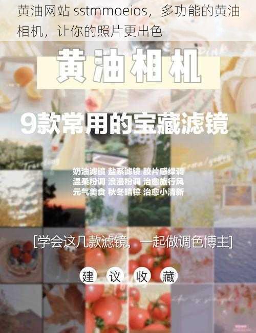 黄油网站 sstmmoeios，多功能的黄油相机，让你的照片更出色