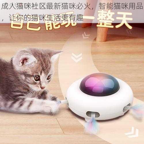 成人猫咪社区最新猫咪必火，智能猫咪用品，让你的猫咪生活更有趣