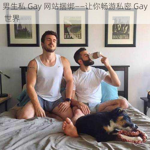 男生私 Gay 网站捆绑——让你畅游私密 Gay 世界