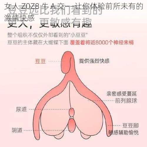 女人 Z0Z8 牛 A 交——让你体验前所未有的激情快感