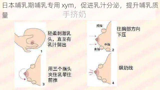 日本哺乳期哺乳专用 xym，促进乳汁分泌，提升哺乳质量