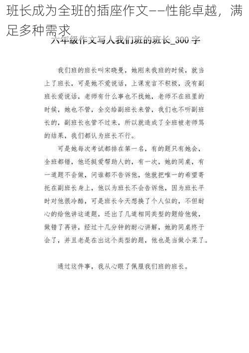 班长成为全班的插座作文——性能卓越，满足多种需求