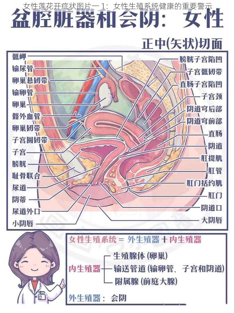 女性莲花开症状图片一 1：女性生殖系统健康的重要警示