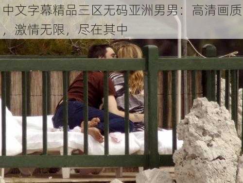 中文字幕精品三区无码亚洲男男：高清画质，激情无限，尽在其中