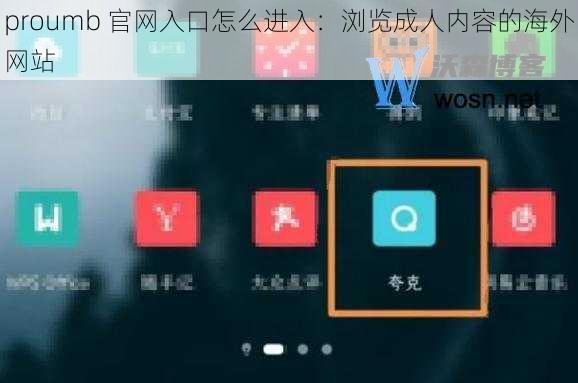 proumb 官网入口怎么进入：浏览成人内容的海外网站