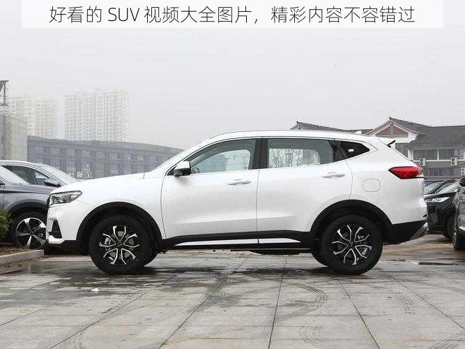 好看的 SUV 视频大全图片，精彩内容不容错过