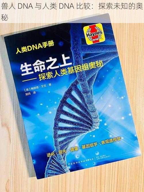 兽人 DNA 与人类 DNA 比较：探索未知的奥秘