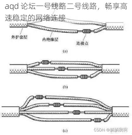 aqd 论坛一号线路二号线路，畅享高速稳定的网络连接