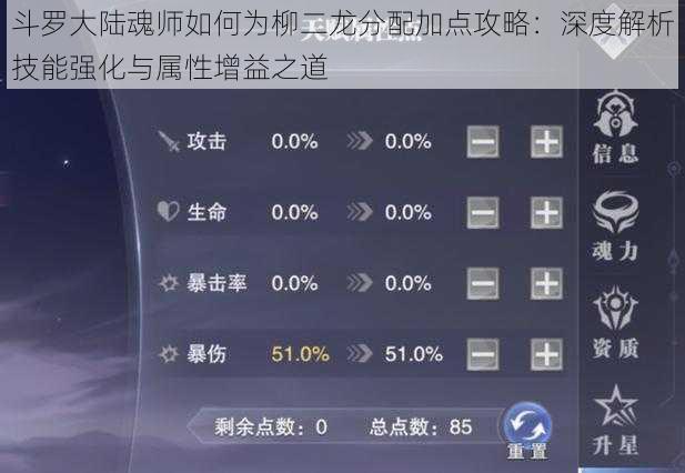 斗罗大陆魂师如何为柳二龙分配加点攻略：深度解析技能强化与属性增益之道