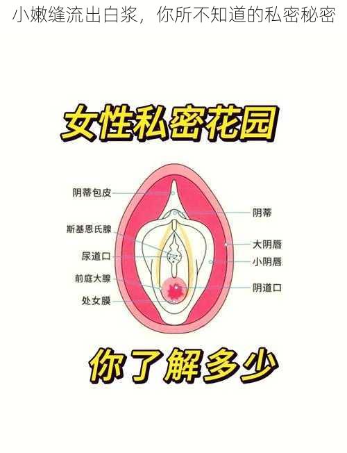 小嫩缝流出白浆，你所不知道的私密秘密