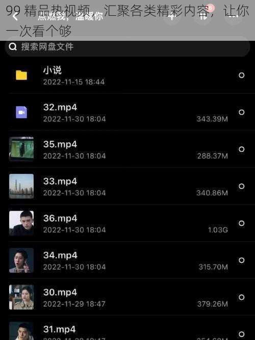 99 精品热视频，汇聚各类精彩内容，让你一次看个够