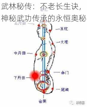 武林秘传：不老长生诀，神秘武功传承的永恒奥秘