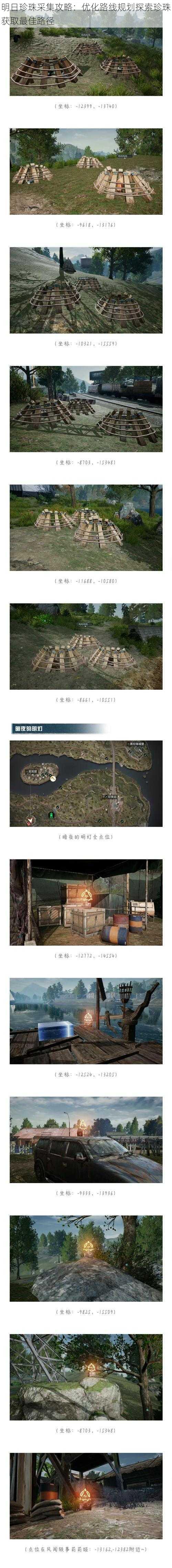 明日珍珠采集攻略：优化路线规划探索珍珠获取最佳路径