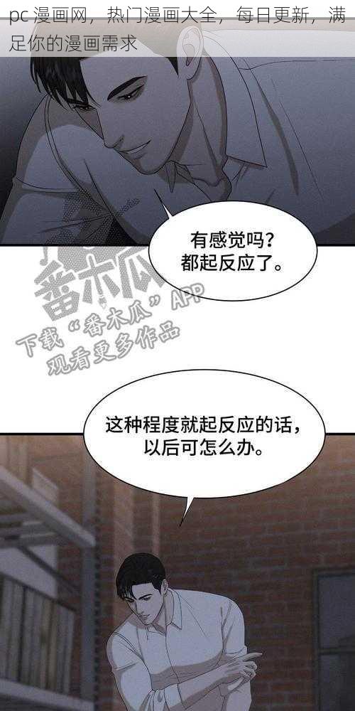 pc 漫画网，热门漫画大全，每日更新，满足你的漫画需求