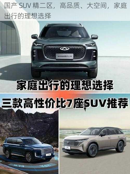 国产 SUV 精二区，高品质、大空间，家庭出行的理想选择