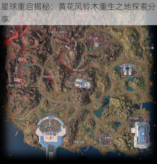 星球重启揭秘：黄花风铃木重生之地探索分享