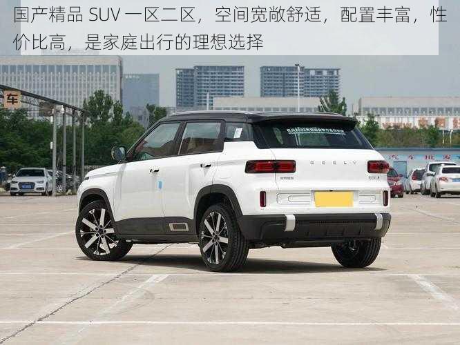 国产精品 SUV 一区二区，空间宽敞舒适，配置丰富，性价比高，是家庭出行的理想选择