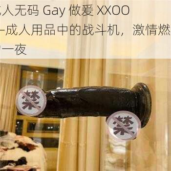 成人无码 Gay 做爰 XXOO——成人用品中的战斗机，激情燃烧的一夜