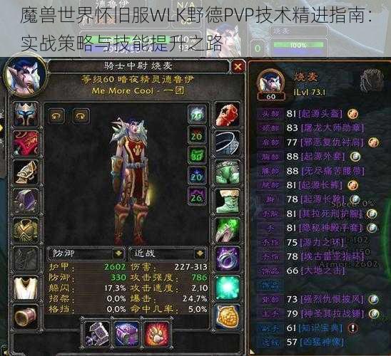 魔兽世界怀旧服WLK野德PVP技术精进指南：实战策略与技能提升之路