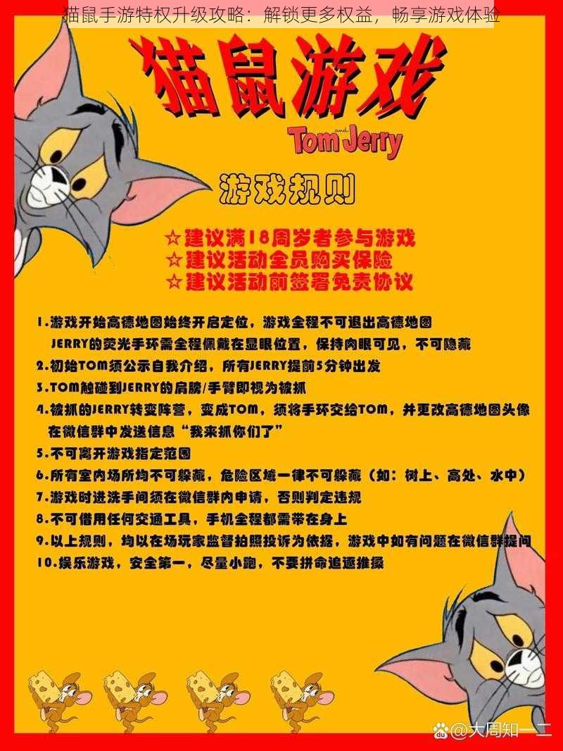 猫鼠手游特权升级攻略：解锁更多权益，畅享游戏体验