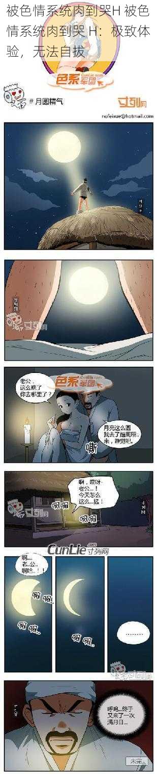 被色情系统肉到哭H 被色情系统肉到哭 H：极致体验，无法自拔