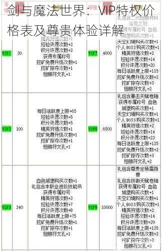 剑与魔法世界：VIP特权价格表及尊贵体验详解